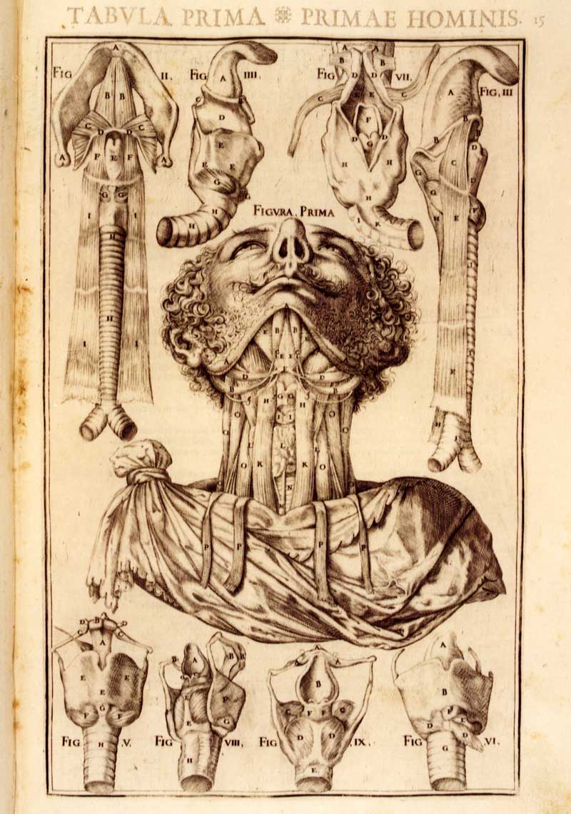 Immagine di un testo del Fondo Antico della Biblioteca Medica P.G. Corradini